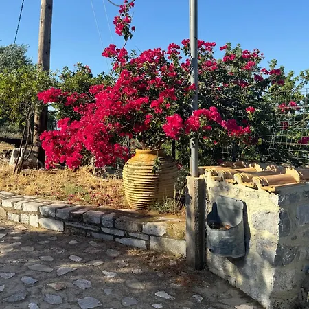 Дом отдыха Refoulo Tower