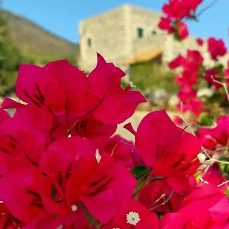 Refoulo Tower Дом отдыха