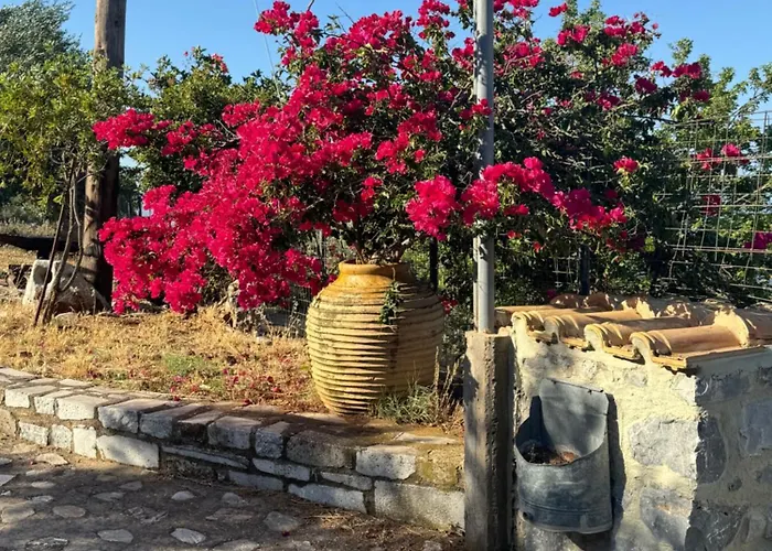 Dom wakacyjny Refoulo Tower