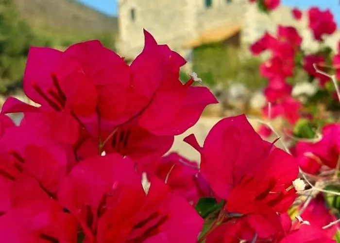 Refoulo Tower Vakantiehuis